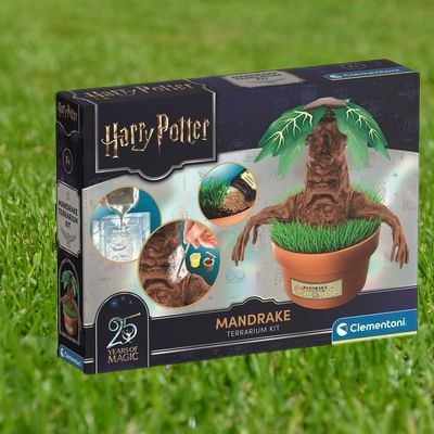 KIT TERRARIUM MAGICO