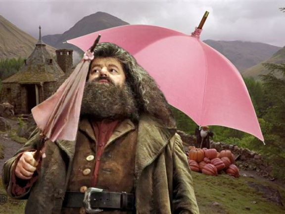 VARITA RUBEUS HAGRID OLLIVANDERS HARRY POTTER NOBLE COLLECTION