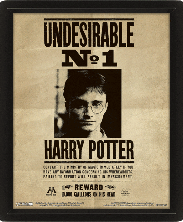 MARCO 3D MAGICO CAMBIA SIRIUS BLACK A HARRY POTTER