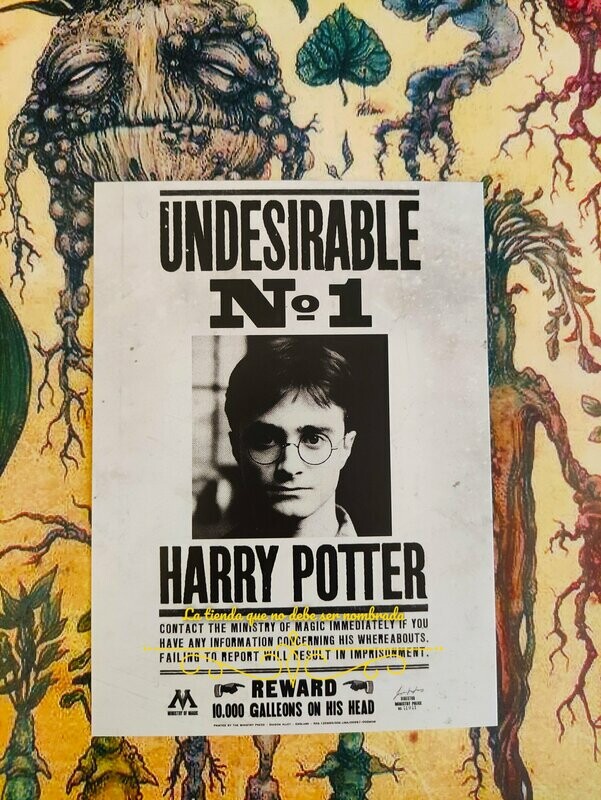 POSTAL UNDESIRABLE Nº1 HARRY POTTER MINALIMA