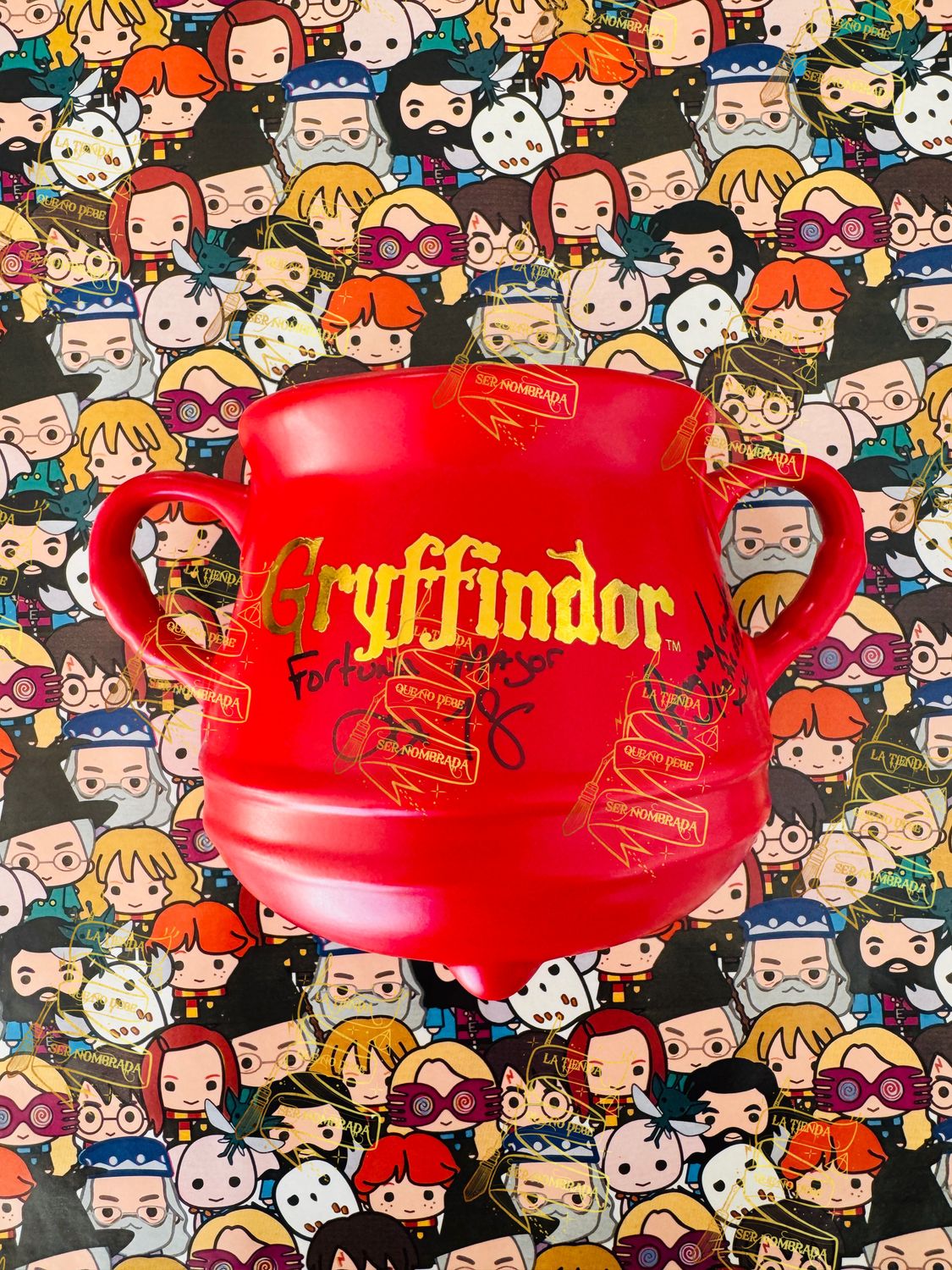 CALDERO FIRMADA POR SEAMUS FINNIGAN (DEVON MURRAY) & POR KATIE BELL (GEORGINA LEONIDAS)