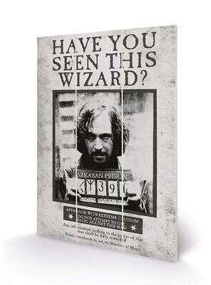 PLACA MADERA SE BUSCA SIRIUS BLACK HARRY POTTER