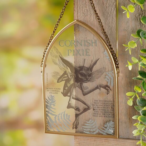PLACA DUENDECILLO DE CORNUALLES HARRY POTTER