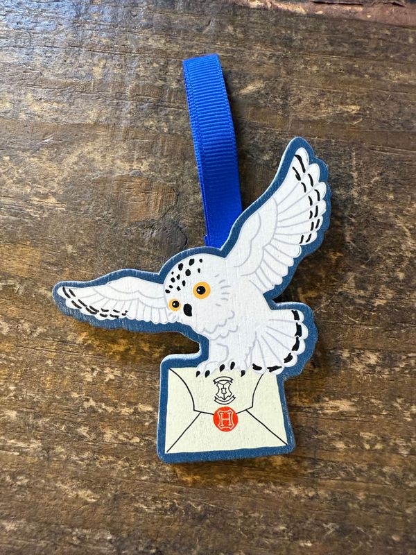 ADORNO HEDWIG & CARTA HARRY POTTER