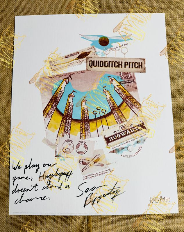 LITOGRAFIA QUIDDITCH FIRMADA POR OLIVER WOOD (SEAN BIGGERSTAFF)