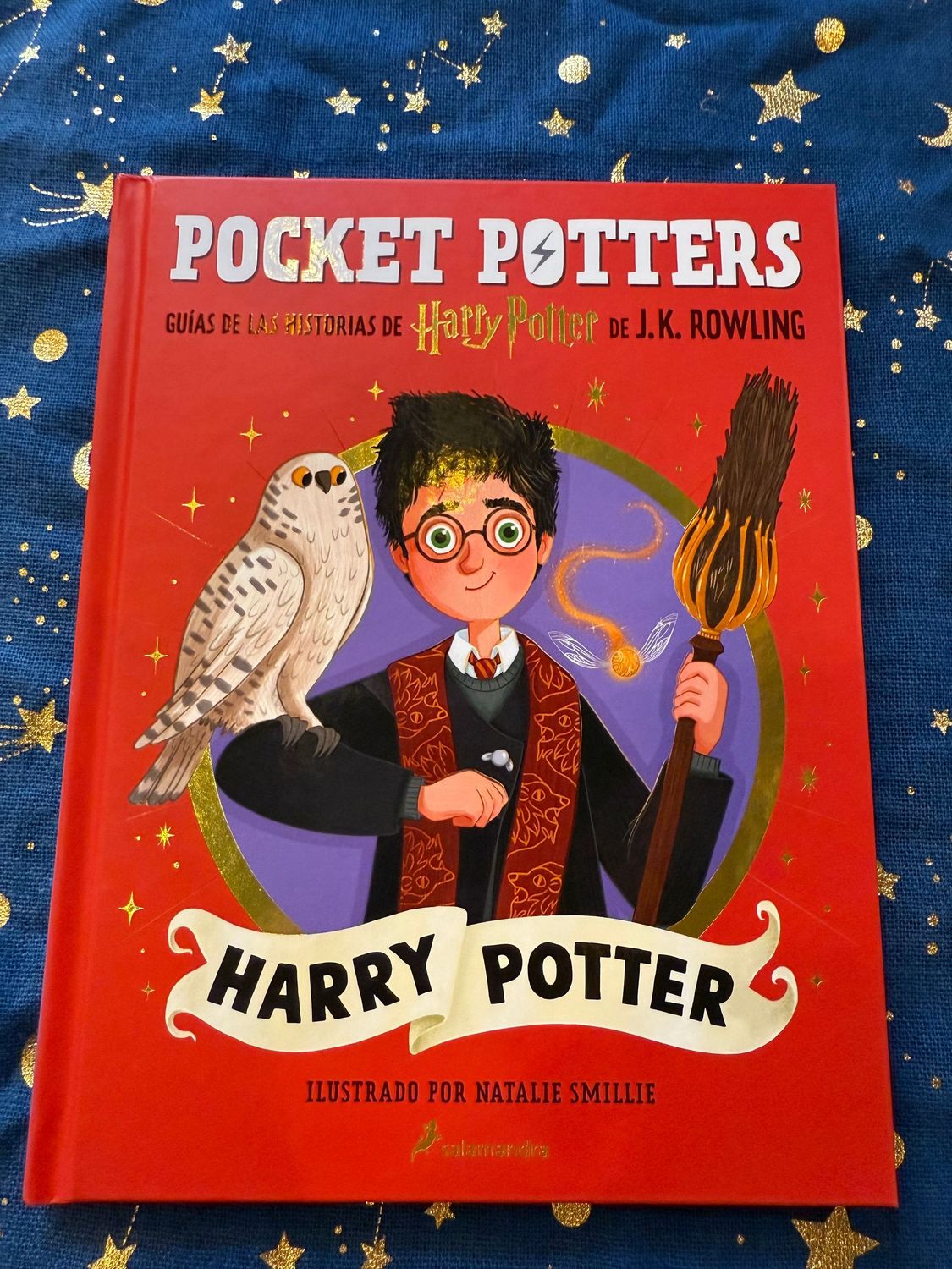 POCKET POTTER HARRY POTTER
