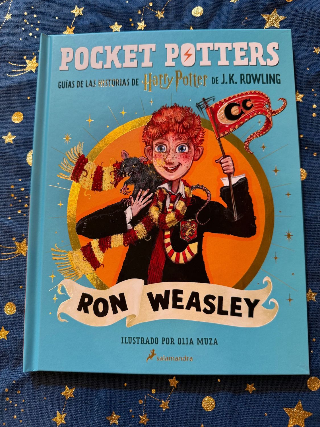 POCKET POTTER RON WEASLEY HARRY POTTER