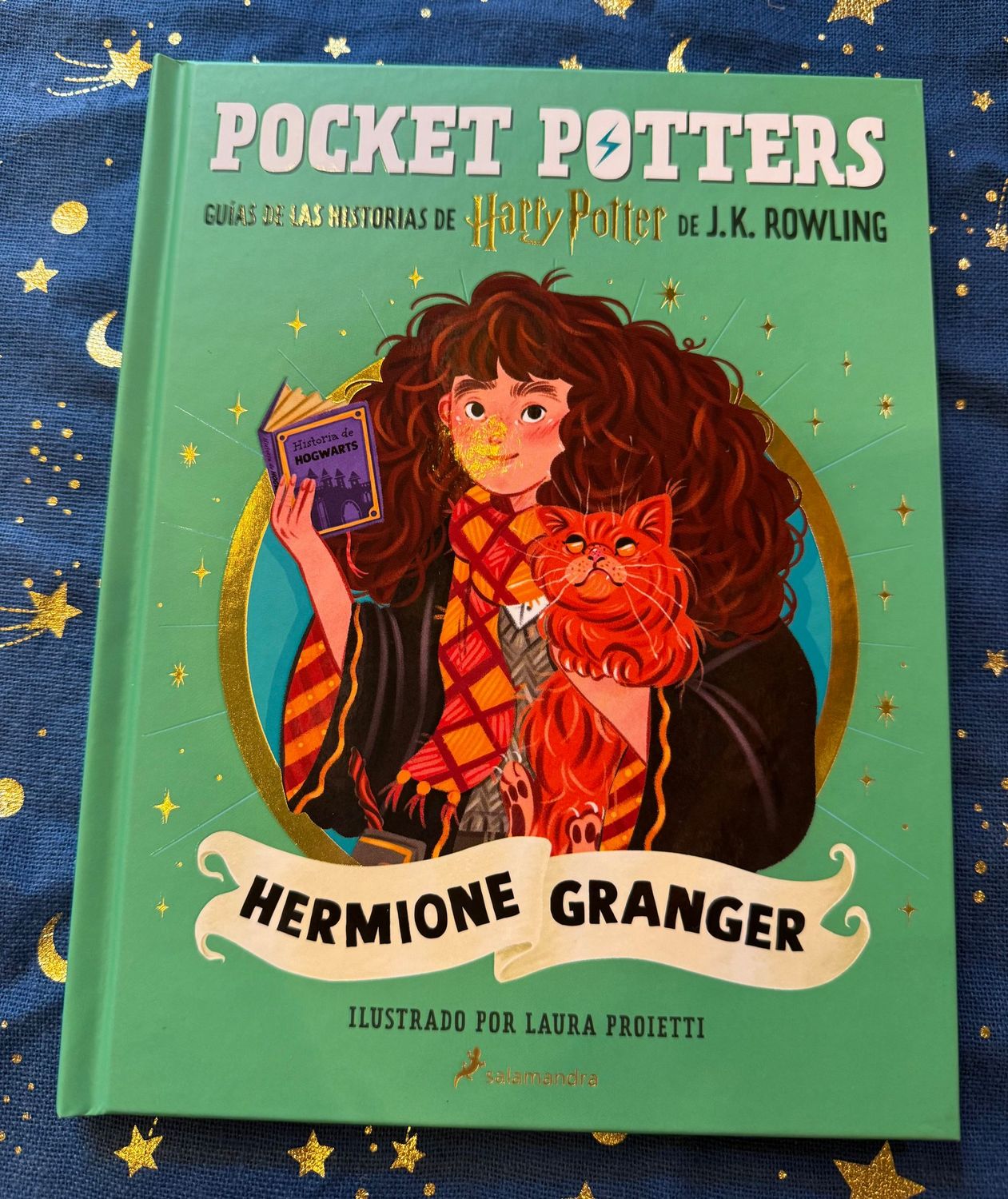 POCKET POTTER HERMIONE GRANGER HARRY POTTER