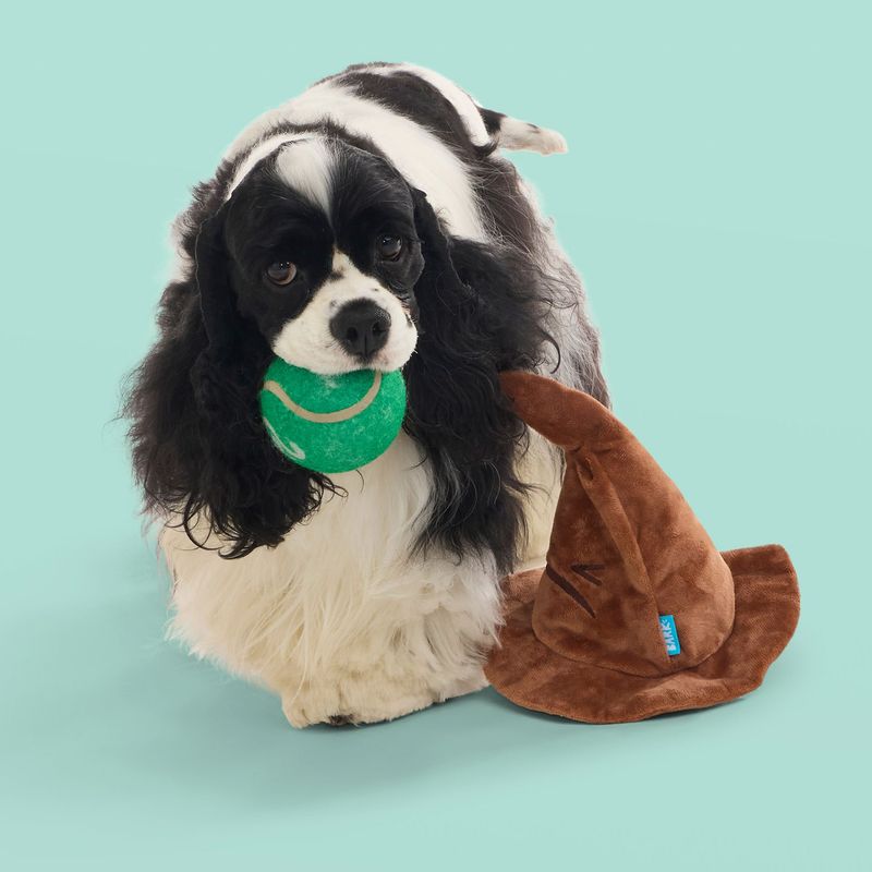 JUGUETE PERRO SOMBRERO SELECIONADOR & PELOTA SORPRESA CASAS HARRY POTTER