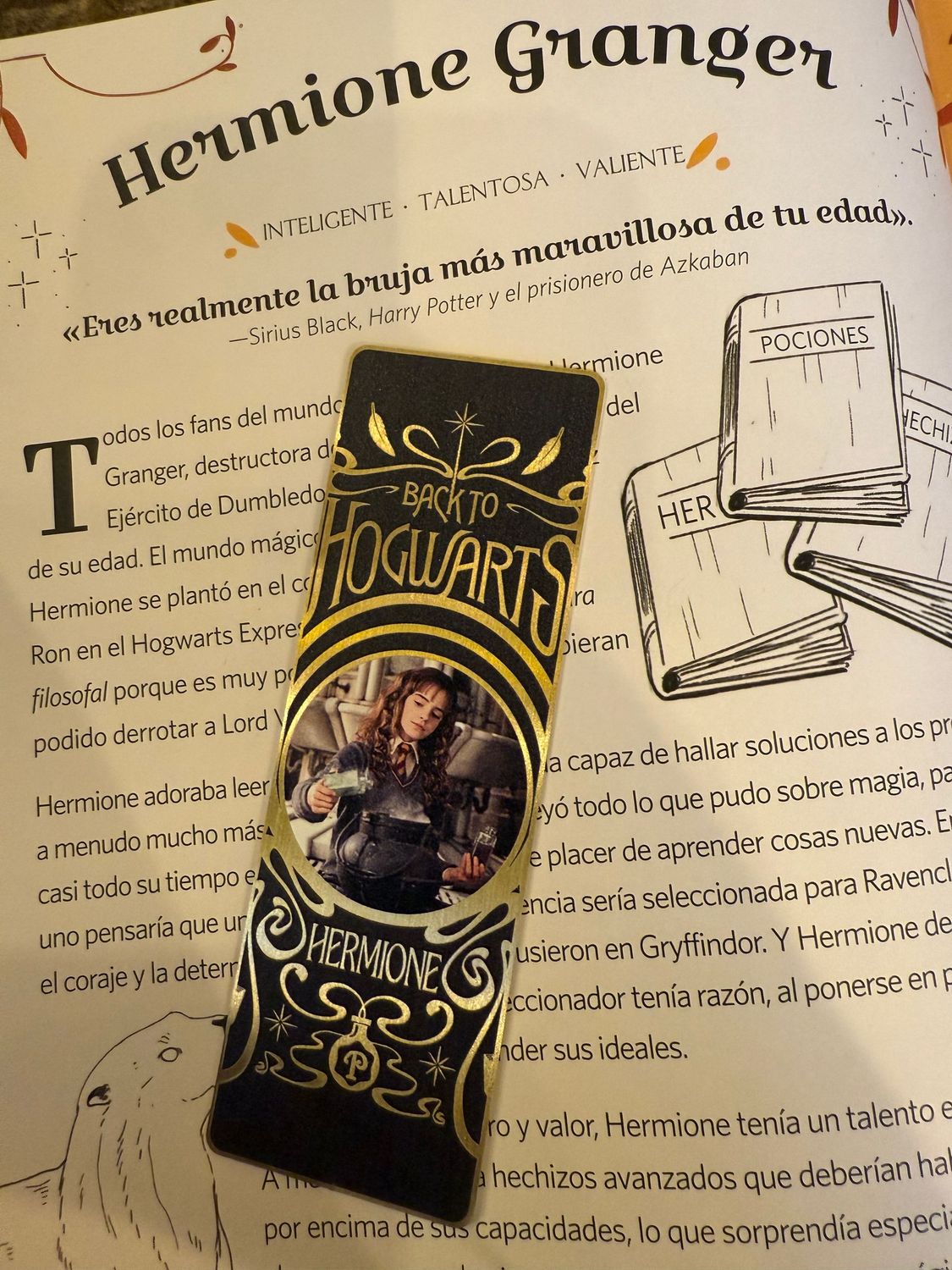 MARCAPAGINAS METALICO HERMIONE GRANGER HARRY POTTER