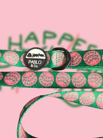 CORREA PERRO HAPPEE BIRTHDAE HARRY POTTER