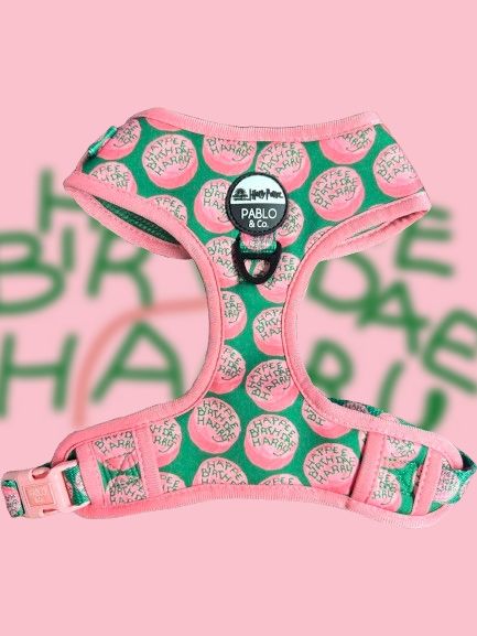 ARNES PERRO HAPPEE BIRTHDAE HARRY POTTER