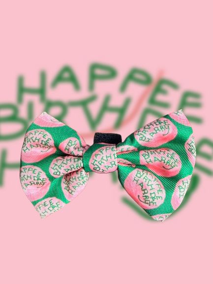 PAJARITA PERRO HAPPEE BIRTHDAE HARRY POTTER