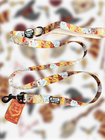 CORREA PERRO ARTILUGIOS MAGICOS HARRY POTTER