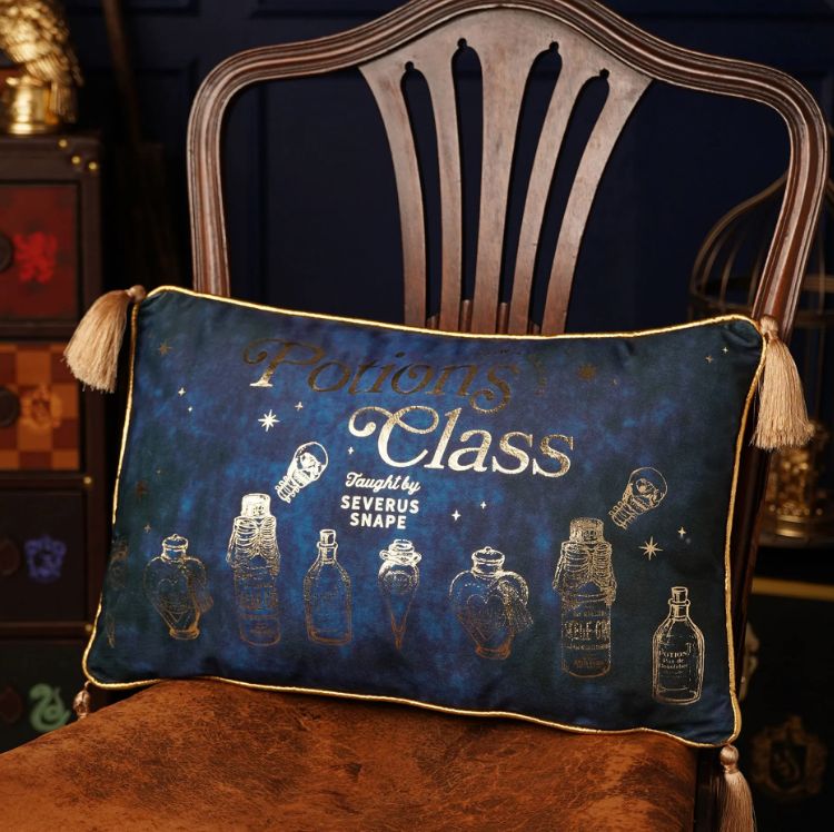 PREVENTA - COJIN TERCIOPELO CLASE POCIONES HARRY POTTER