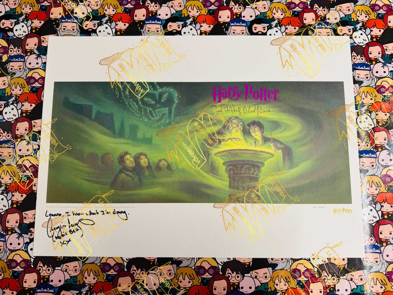 LITOGRAFIA HARRY POTTER Y EL MISTERIO DEL PRINCIPE FIRMADA POR KATIE BELL (GEORGINA LEONIDAS)