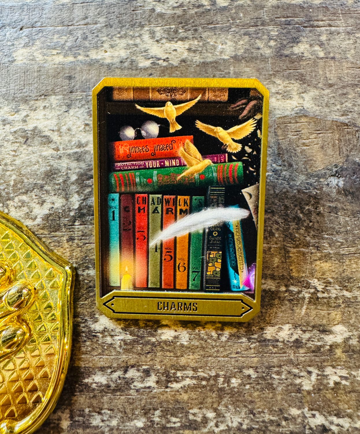 PIN LIBRERIA CHARMS MINALIMA HARRY POTTER