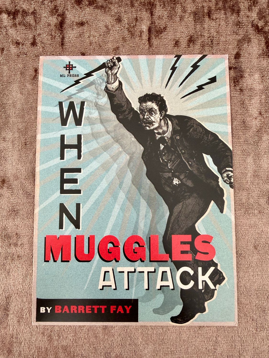 POSTAL WHEN NUGGLES ATTACK HARRY POTTER MINALIMA