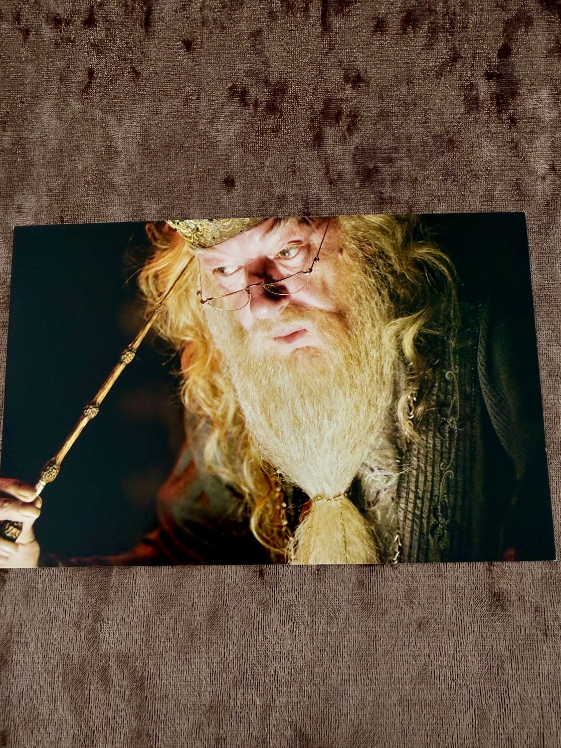 POSTAL ALBUS DUMBLEDORE HARRY POTTER