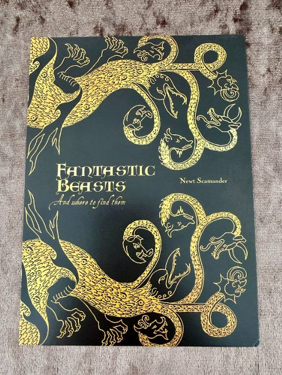 POSTAL FANTASTIC BEASTS HARRY POTTER MINALIMA