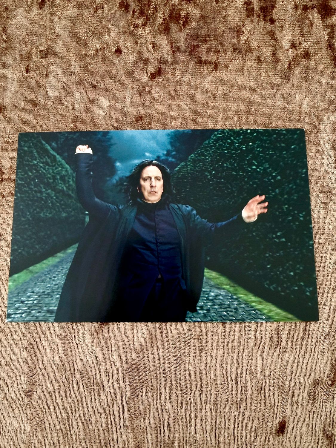 POSTAL SEVERUS SNAPE HARRY POTTER