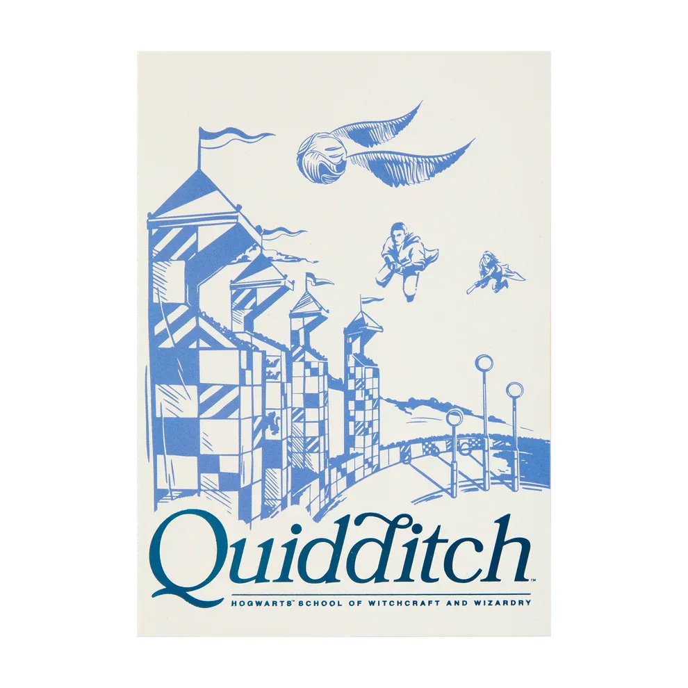POSTAL CAMPO QUIDDITCH HARRY POTTER