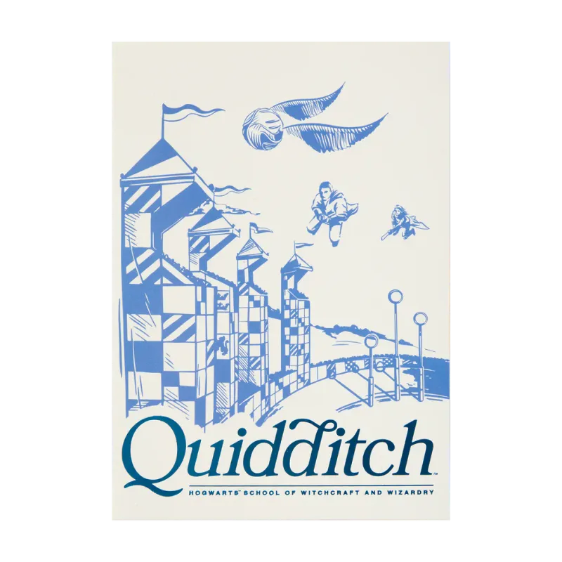 POSTAL CAMPO QUIDDITCH HARRY POTTER
