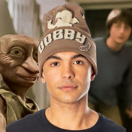 GORRO DOBBY HARRY POTTER