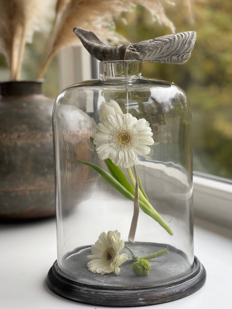 Glassglocke groß mit Loch und holz Boden