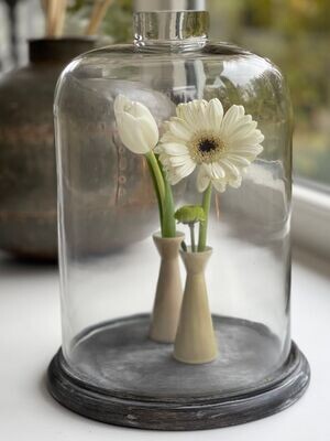 Tabletts & Glas