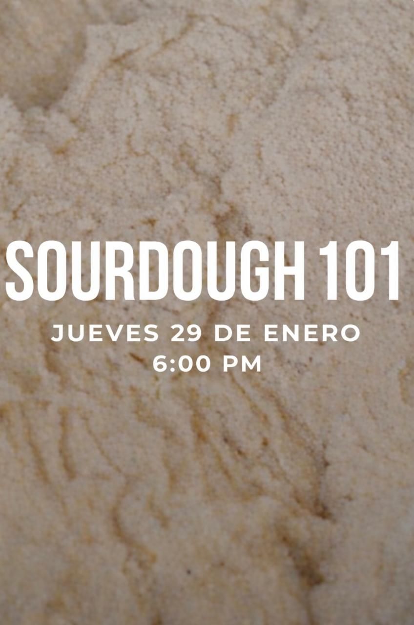 SOURDOUGH 101