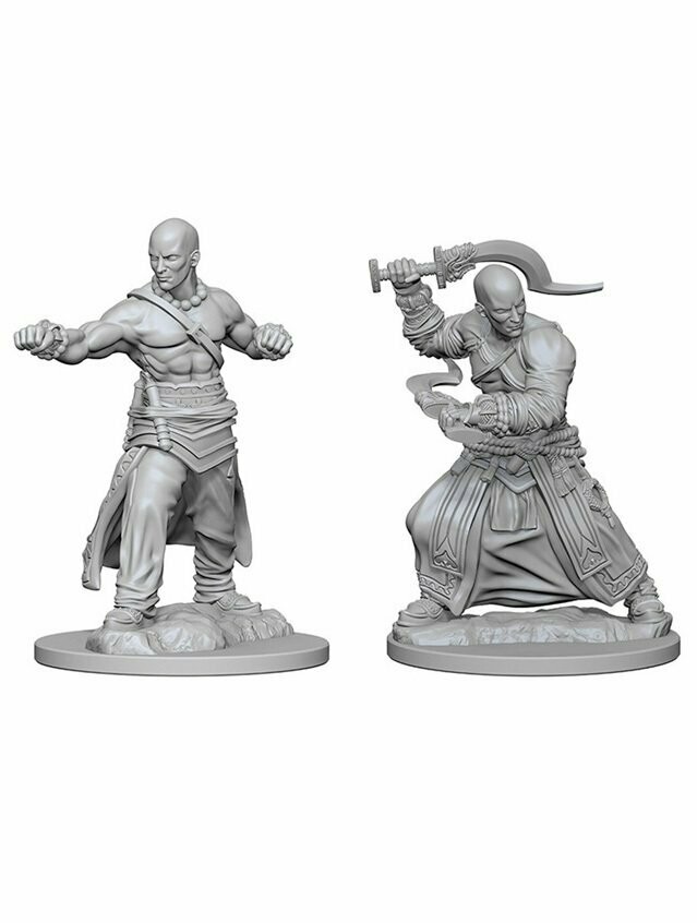 Pathfinder Battles Deep Cuts Unpainted Miniatures Human Male Monk (Wave 1)