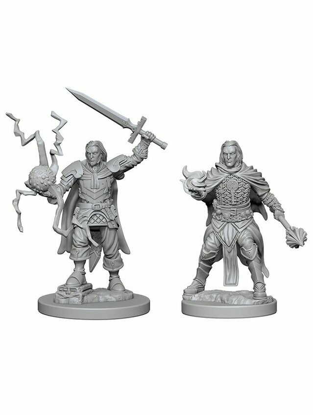 Pathfinder Battles Deep Cuts Unpainted Miniatures Human Male Cleric (Wave 1)