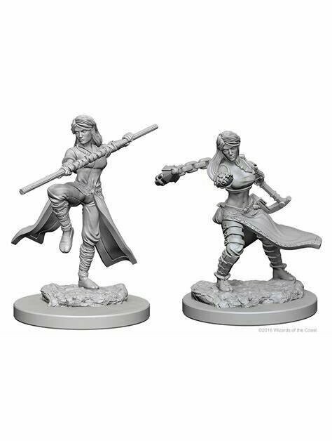 Dungeons & Dragons Nolzur's Marvelous Miniatures Human Female Monk (Wave 1)