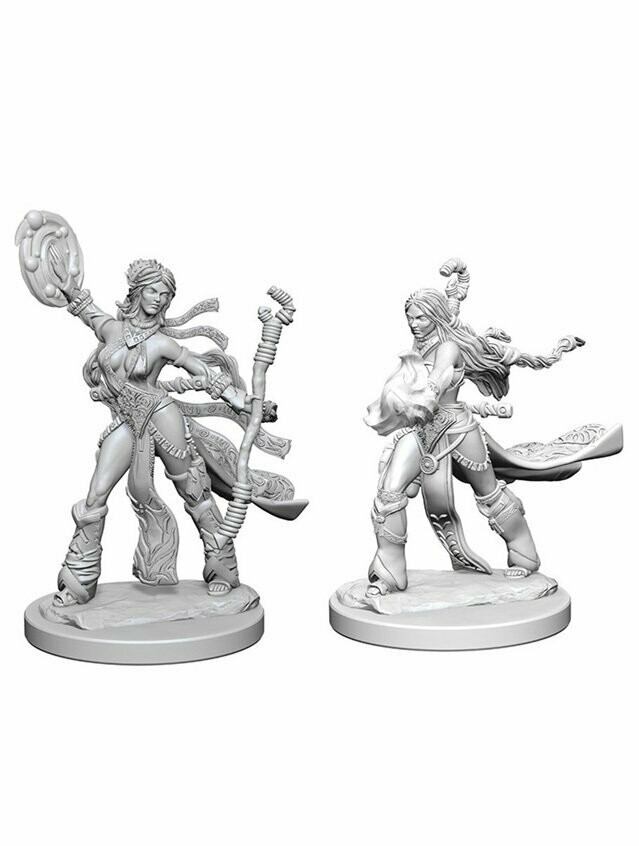 Pathfinder Battles Deep Cuts Unpainted Miniatures Human Female Sorcerer (Wave 1)