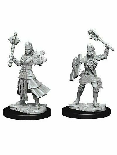 Dungeons & Dragons Nolzur's Marvelous Miniatures Human Female Cleric (Wave 8)