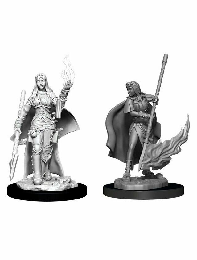 Pathfinder Battles Deep Cuts Unpainted Miniatures Human Female Oracle (Wave 11)
