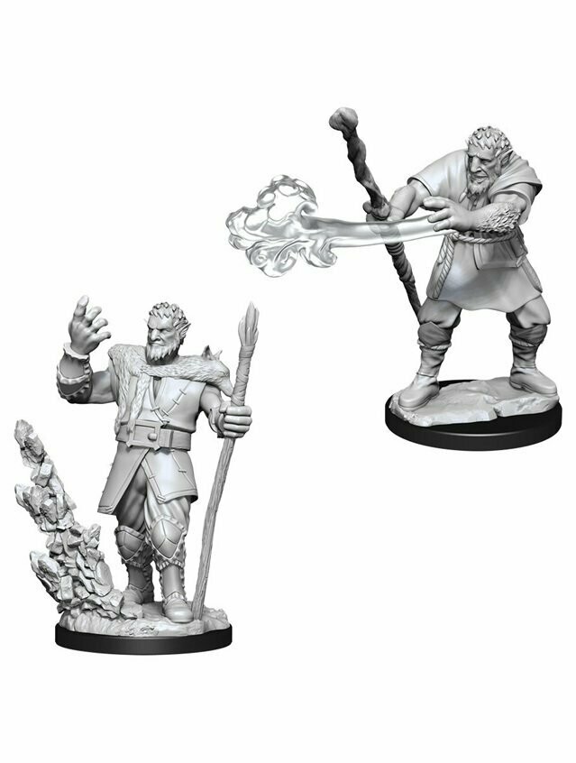 Dungeons & Dragons Nolzur's Marvelous Miniatures Firbolg Male Druid (Wave 11)