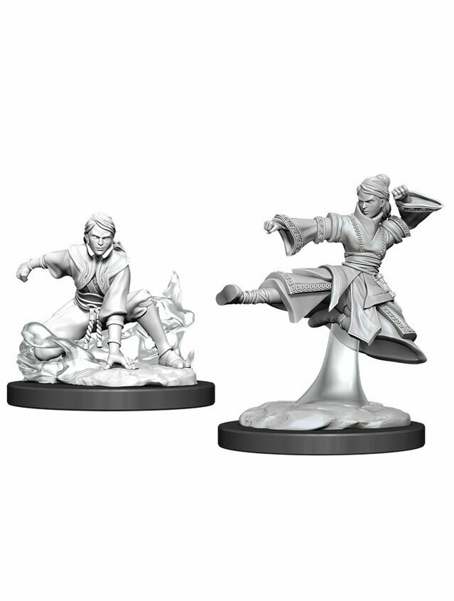 Dungeons & Dragons Nolzur's Marvelous Miniatures Human Female Monk (Wave 11)