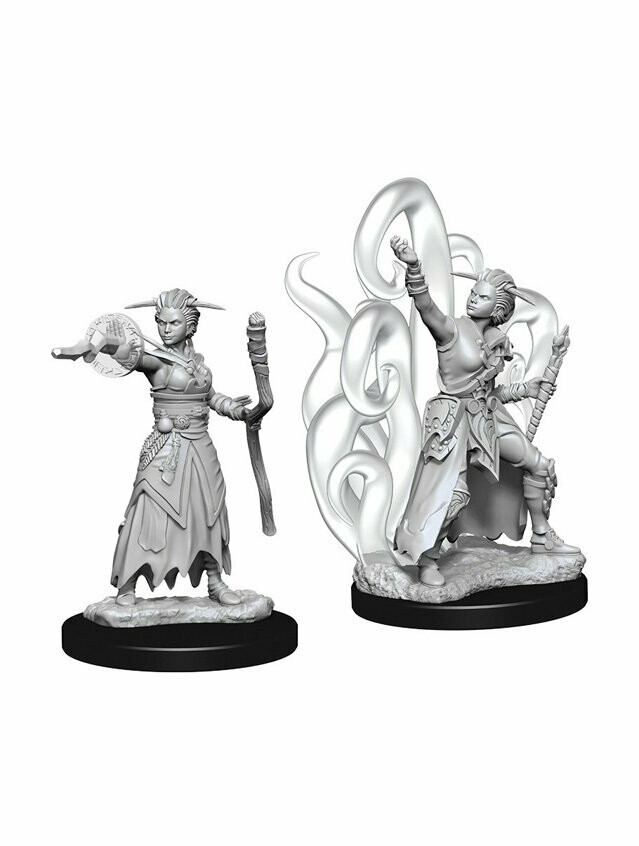 Dungeons & Dragons Nolzur's Marvelous Miniatures Human Female Warlock (Wave 10)