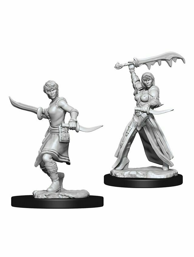 Dungeons & Dragons Nolzur's Marvelous Miniatures Human Female Rogue (Wave 10)
