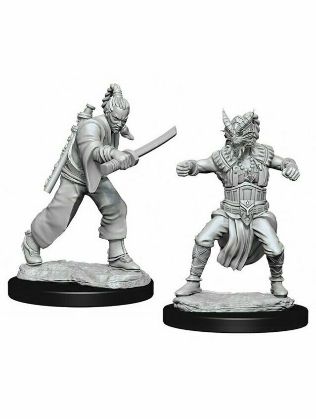 Dungeons & Dragons Nolzur's Marvelous Miniatures Human Male Monk (Wave 8)