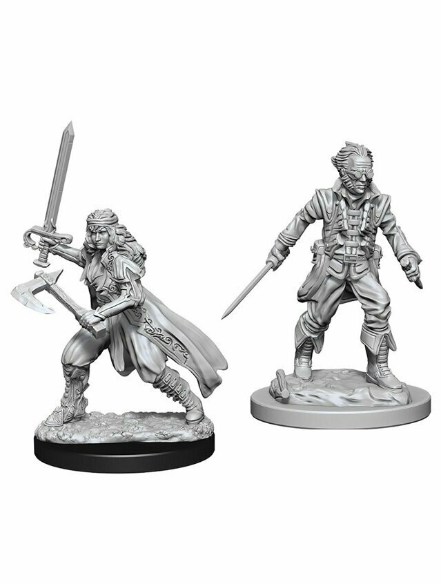 Dungeons & Dragons Nolzur's Marvelous Miniatures Vampire Hunters (Wave 8)