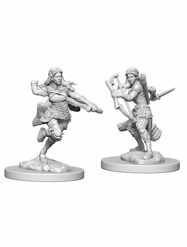 Dungeons & Dragons Nolzur's Marvelous Miniatures Air Genasi Female Rogue (Wave 4)