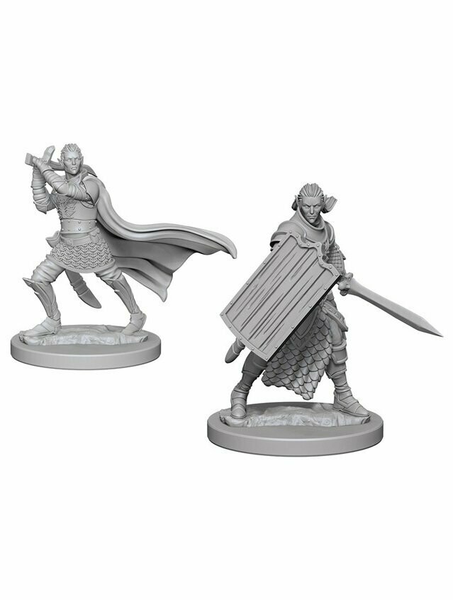 Pathfinder Battles Deep Cuts Unpainted Miniatures Elf Male Paladin (Wave 2)