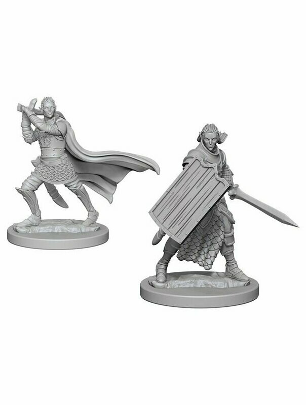 Pathfinder Battles Deep Cuts Unpainted Miniatures Elf Male Paladin (Wave 2)