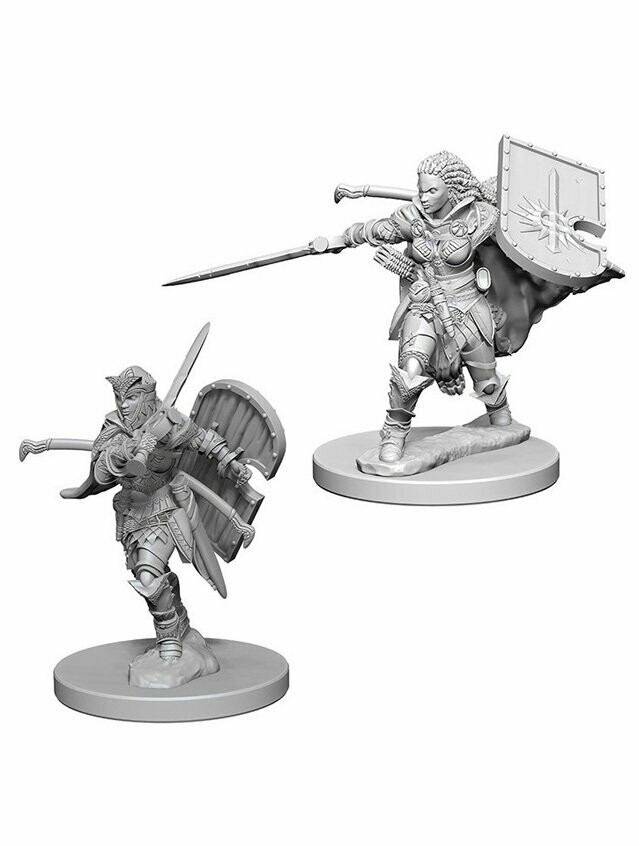 Pathfinder Battles Deep Cuts Unpainted Miniatures Human Female Paladin (Wave 1)