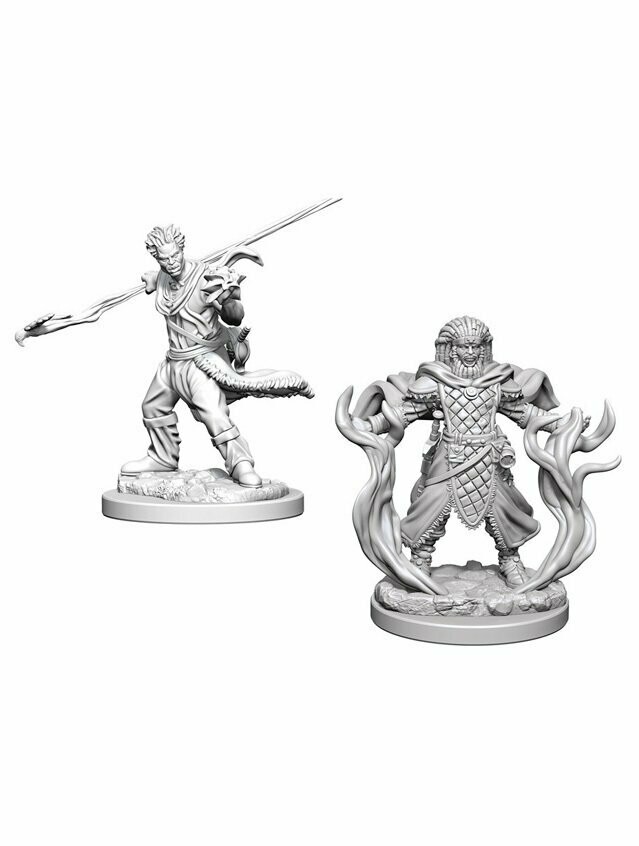 Dungeons & Dragons Nolzur's Marvelous Miniatures Human Male Druid (Wave 3)
