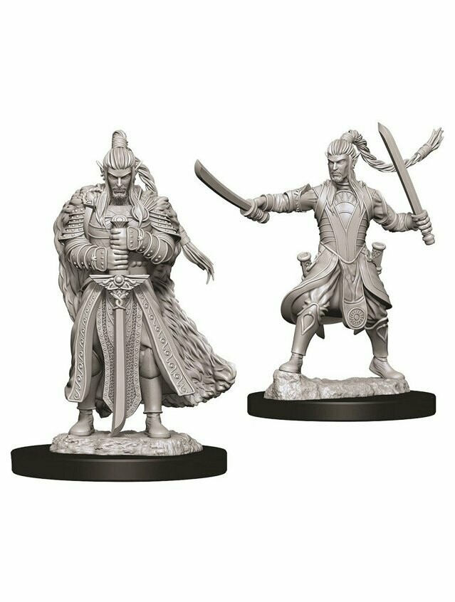 Dungeons & Dragons Nolzur's Marvelous Miniatures Elf Male Paladin (Wave 9)