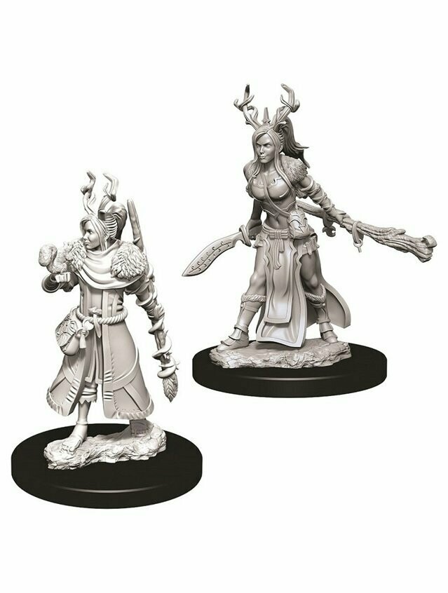 Dungeons & Dragons Nolzur's Marvelous Miniatures Human Female Druid (Wave 9)